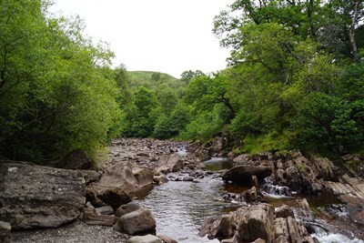 Message for you sir någonstans till höger